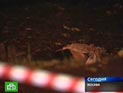 Московская милиция задержала группу скинхедов в связи с серией нападений на юго-западе Москвы