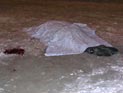 В Сыктывкаре банда хулиганов убила студента возле Верховного суда на глазах таксистов и жильцов дома В Сыктывкаре банда хулиганов убила студента возле Верховного суда на глазах таксистов и жильцов дома