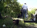 В московских реках и водоемах находят отрезанные руки и головы В московских реках и водоемах находят отрезанные руки и головы