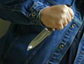 В Петербурге пьяный пассажир теплохода перепутал каюты и ранил ножом помощника капитана В Петербурге пьяный пассажир теплохода перепутал каюты и ранил ножом помощника капитана