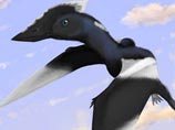 После тщательных исследований ученые объявили, что Дейзи нашла неизвестный вид птерозавров, который решено было назвать в честь нее Vectidraco daisymorrisae