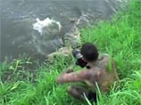 Крокодил буквально выпрыгнул из воды, разинув пасть, и, однозначно, напал бы на отвлекшегося фотографа, если бы тот вовремя не обернулся и не отскочил