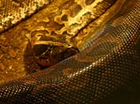 В Канаде полиция распорядилась умертвить четырехметрового африканского питона, ранее задушившего двух мальчиков в Кэмпбелтоне (провинция Нью-Брансуик)