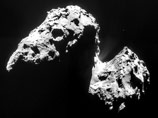     -      Rosetta