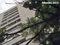 В реанимации умерла 16-летняя москвичка, выброшенная вместе с собакой из окна ее пьяным отчимом В реанимации умерла 16-летняя москвичка, выброшенная вместе с собакой из окна ее пьяным отчимом