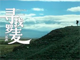         "Seek McCartney",     "Looking for Rohmer".     