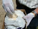 На Урале ФСБ обезвредила банду, продававшую наркотики за криптовалюту На Урале ФСБ обезвредила банду, продававшую наркотики за криптовалюту