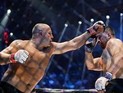 WMMAA рекомендовала лишить Емельяненко победы над Мальдонадо WMMAA рекомендовала лишить Емельяненко победы над Мальдонадо