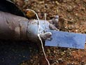 В Индии обнаружены 30 пакетов с останками новорожденных девочек