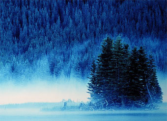 Изображение с сайта cpawscalgary.org