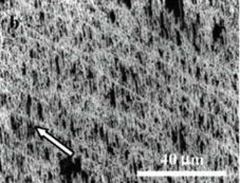 Электронная микрофотография углеродных волокон на поверхности кристалла с сайта USC