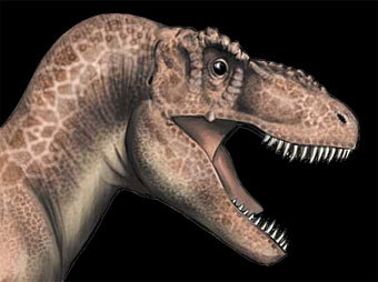 Tyrannosaurus Rex,    dinosauria.com