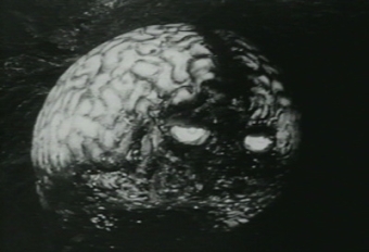 " "   scienceblog.com