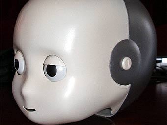   iCub.    birg.epfl.ch