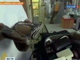        Al Jazeera        ,          