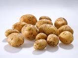  Simplot ,       70%  -  ,         
