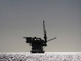       ,    Shell Polar Pioneer,         ,   -   