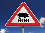      10      (H1N1).   2016         ,       