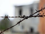  ,    Amnesty International,          ,                 