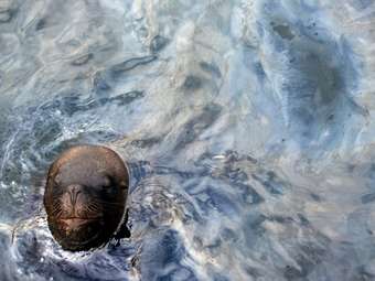 ������� ���. �������� ���� &copy;AFP