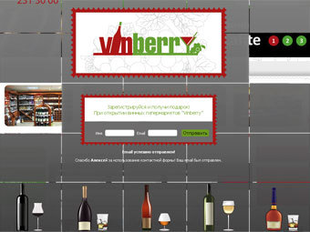     vinberry.ru