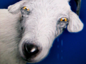 Livejournal   
