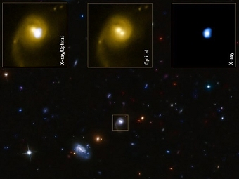  CID-42      ().  NASA/CXC/SAO/F. Civano et al./STScI/CFHT