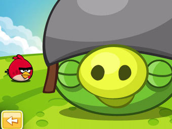  Angry Birds