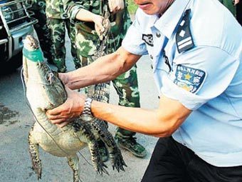    .    china.org.cn