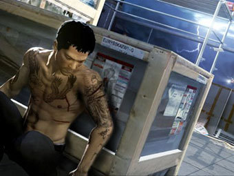  Sleeping Dogs
